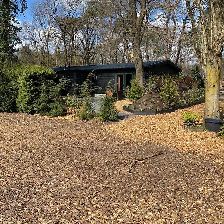 De Veluwse Bos Lodge Otterlo Dış mekan fotoğraf